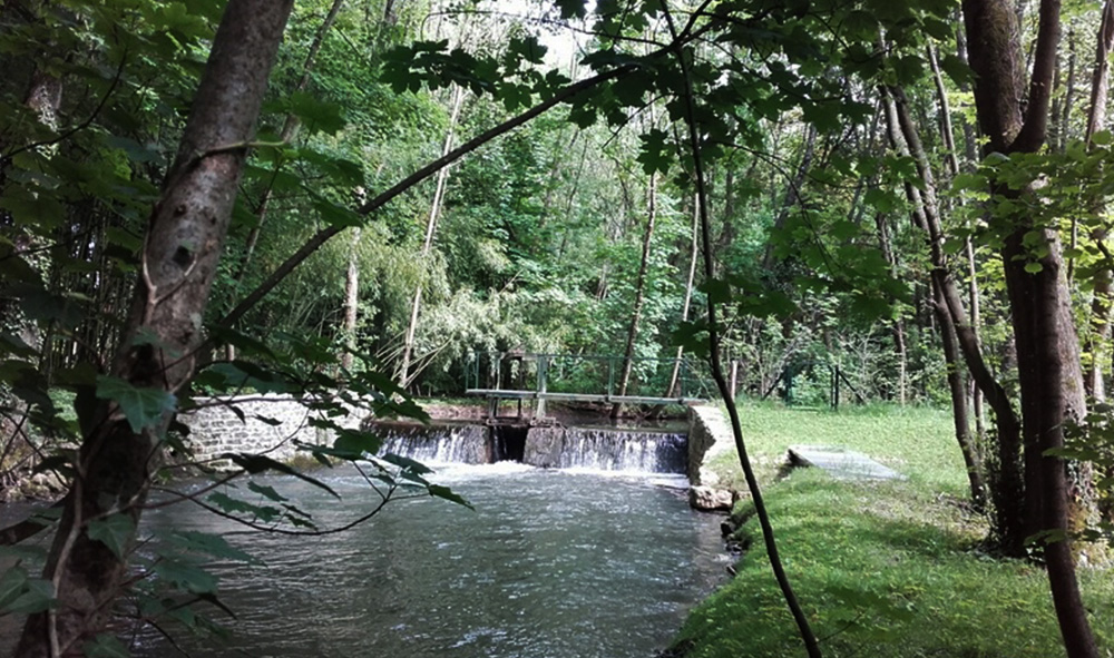 Petit barrage sur la Cléry de la fin du XVème, édifié par l'Abbé Louis de Blanchefort pour réguler le cours de la Cléry à la sortie du grand étang.